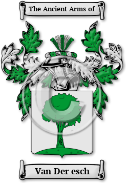 Van Der esch Family Crest Download (JPG) Legacy Series - 600 DPI